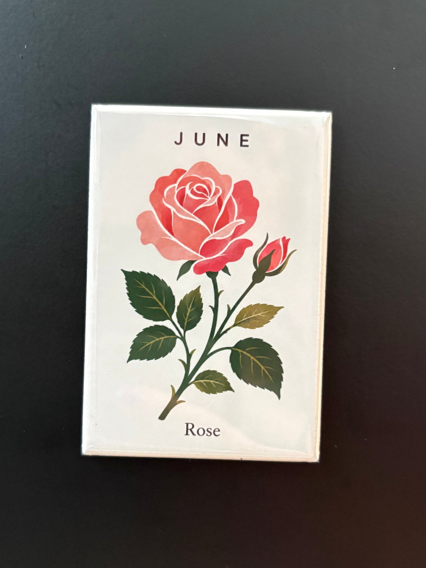 June - 2”x3” Magnet