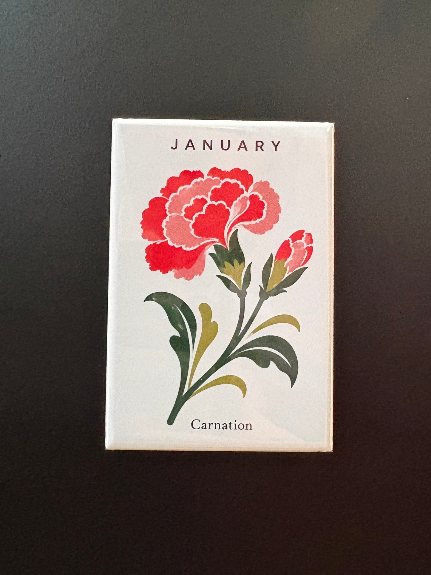 January - 2”x3” Magnet