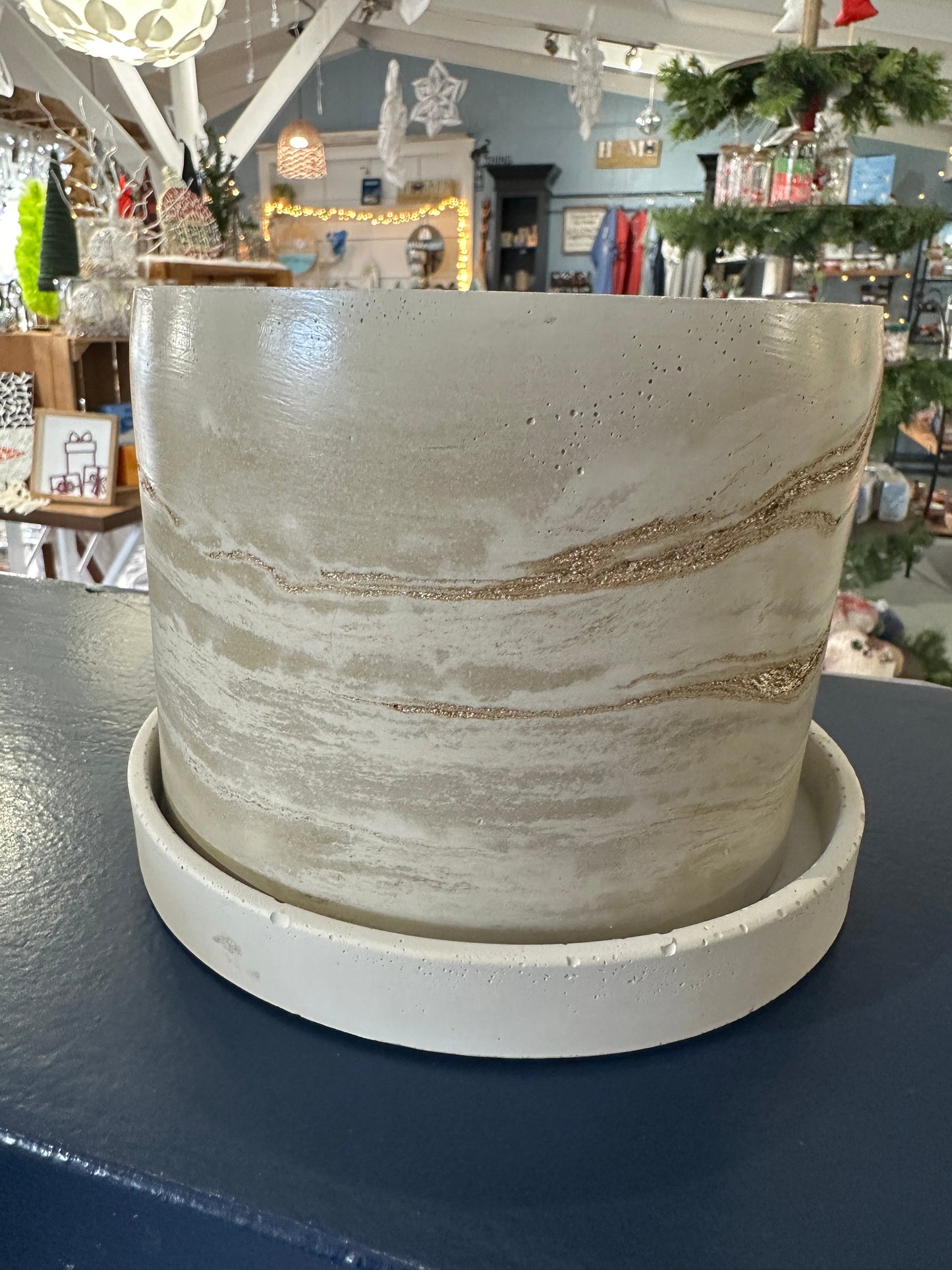 6" pot with tray