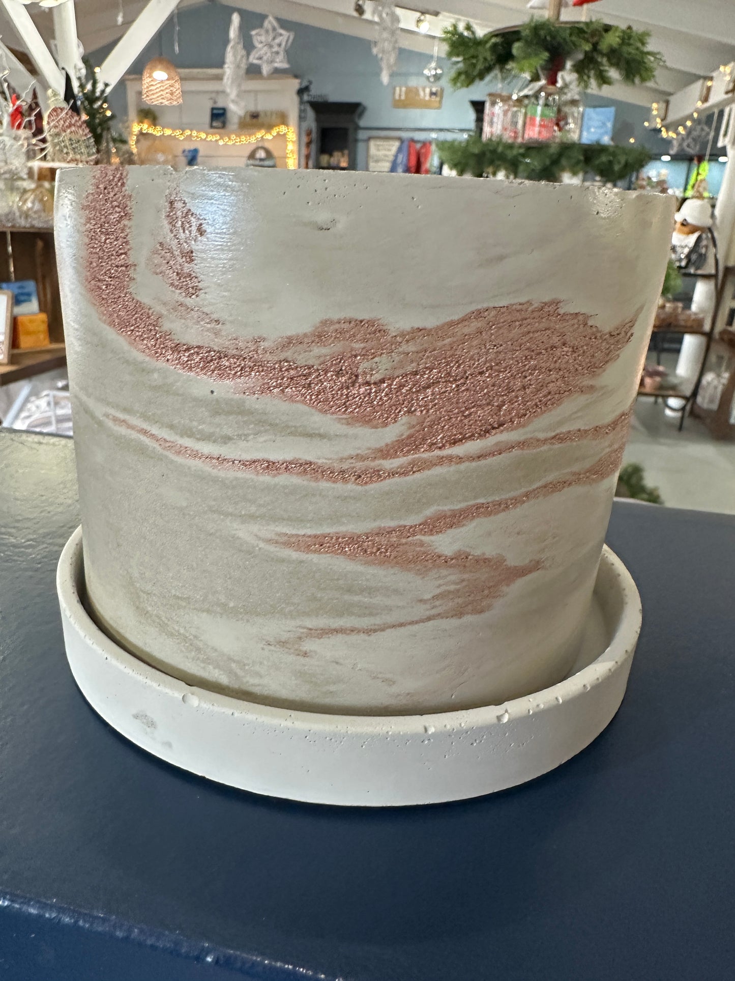 6" pot with tray
