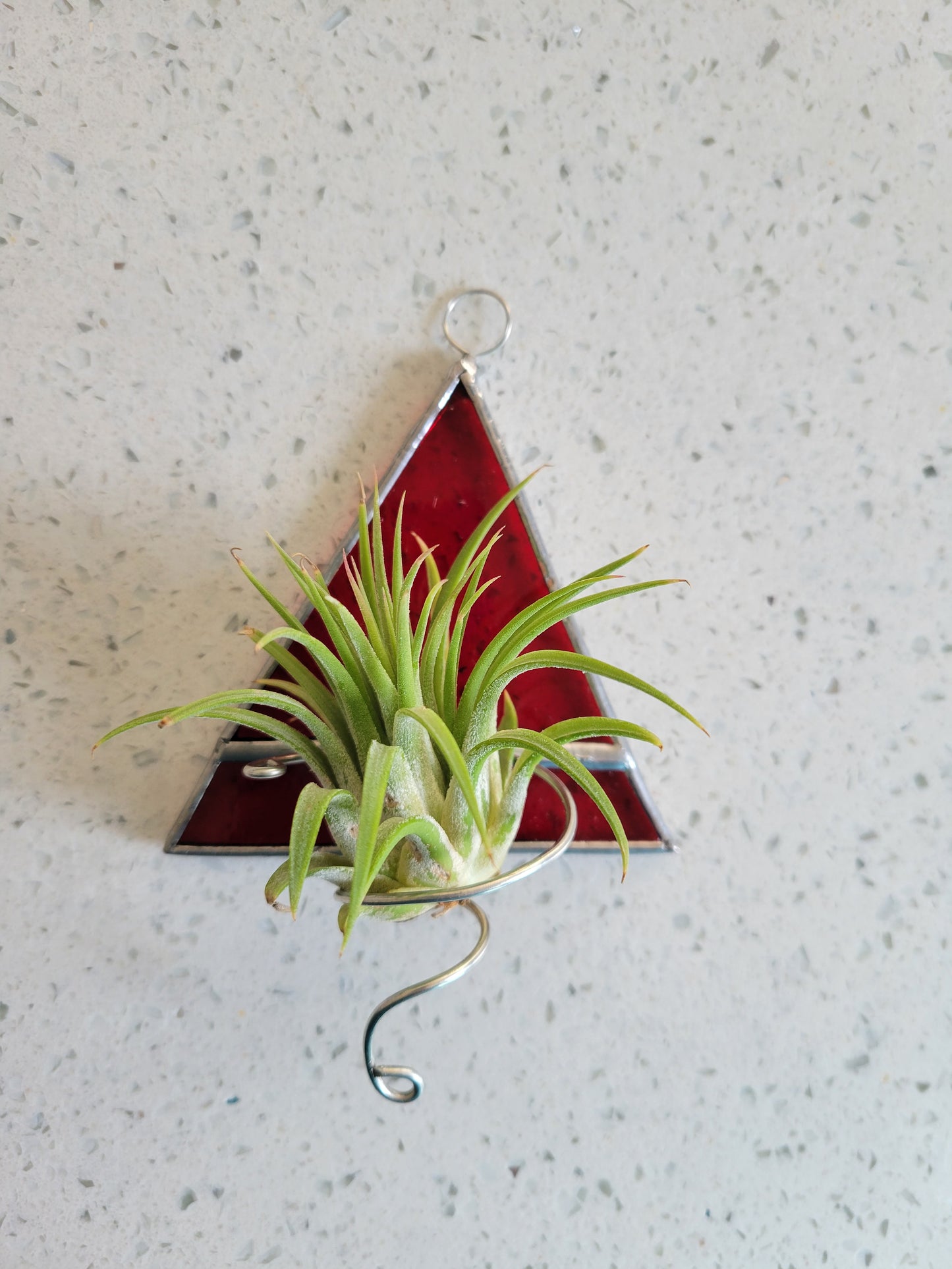 red triangle airplant holder