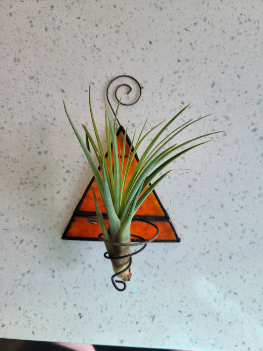 orange triangle airplant holder