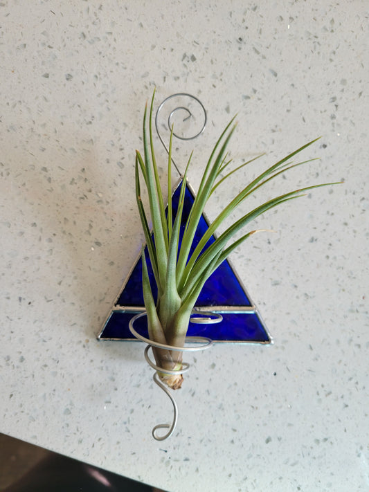 blue airplant holder