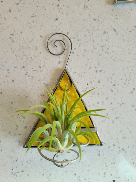 yellow airplant holder