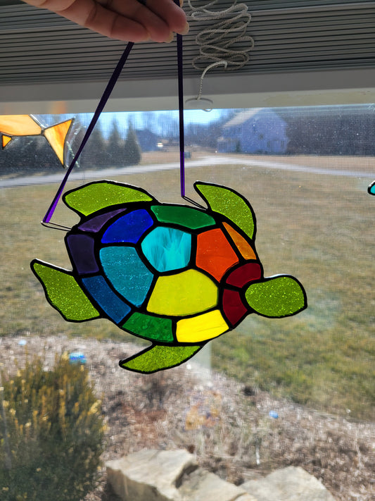 Large rainbow turtle