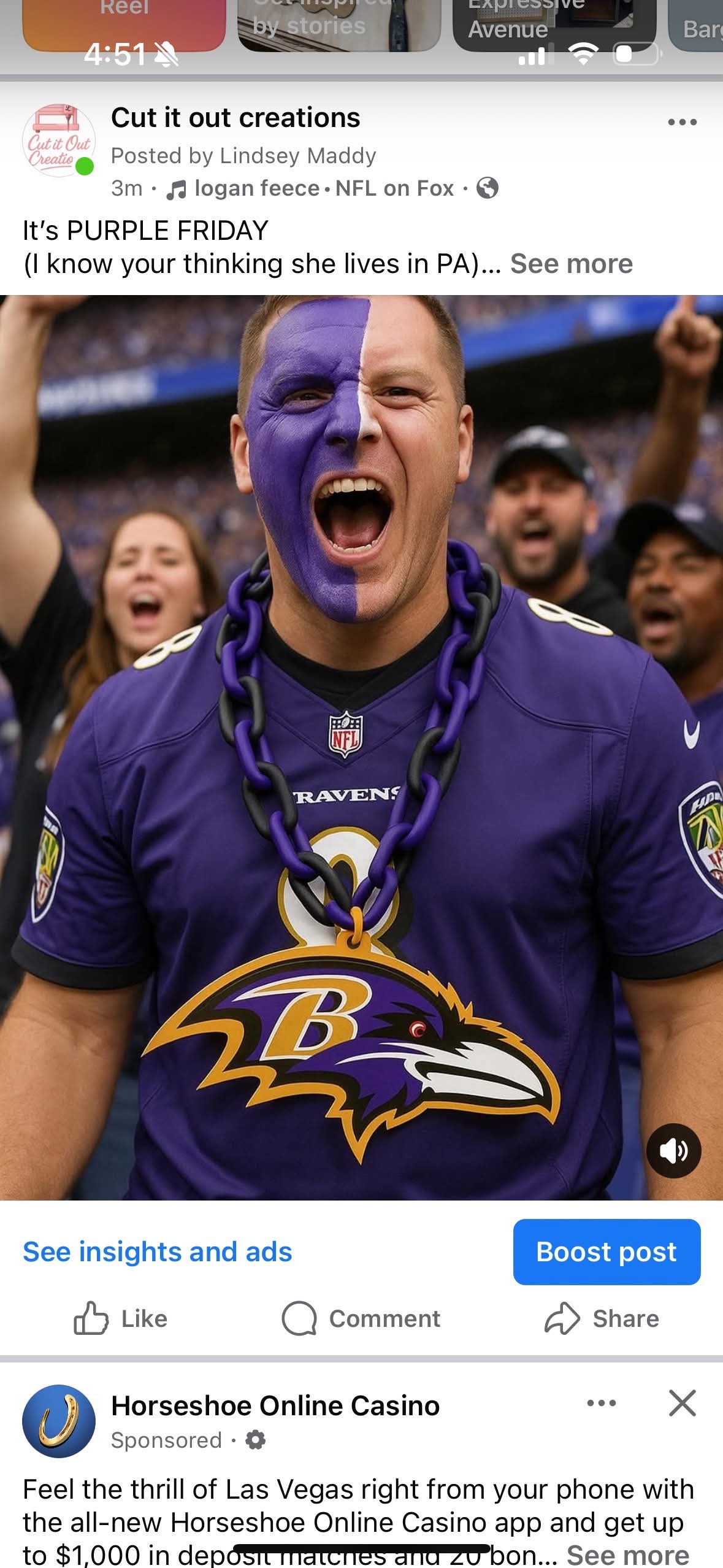 ravens chain necklace