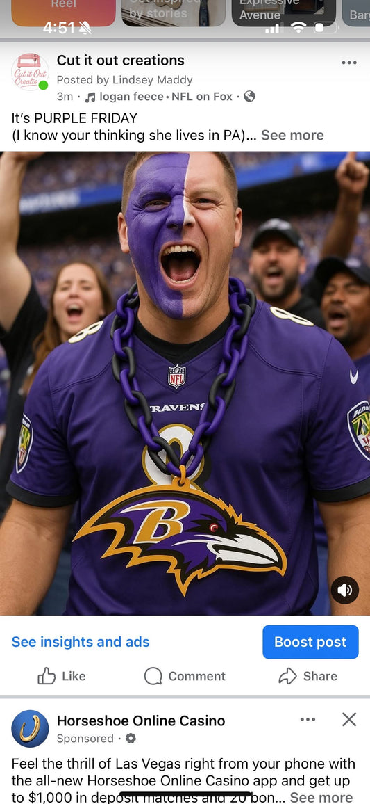 ravens chain necklace