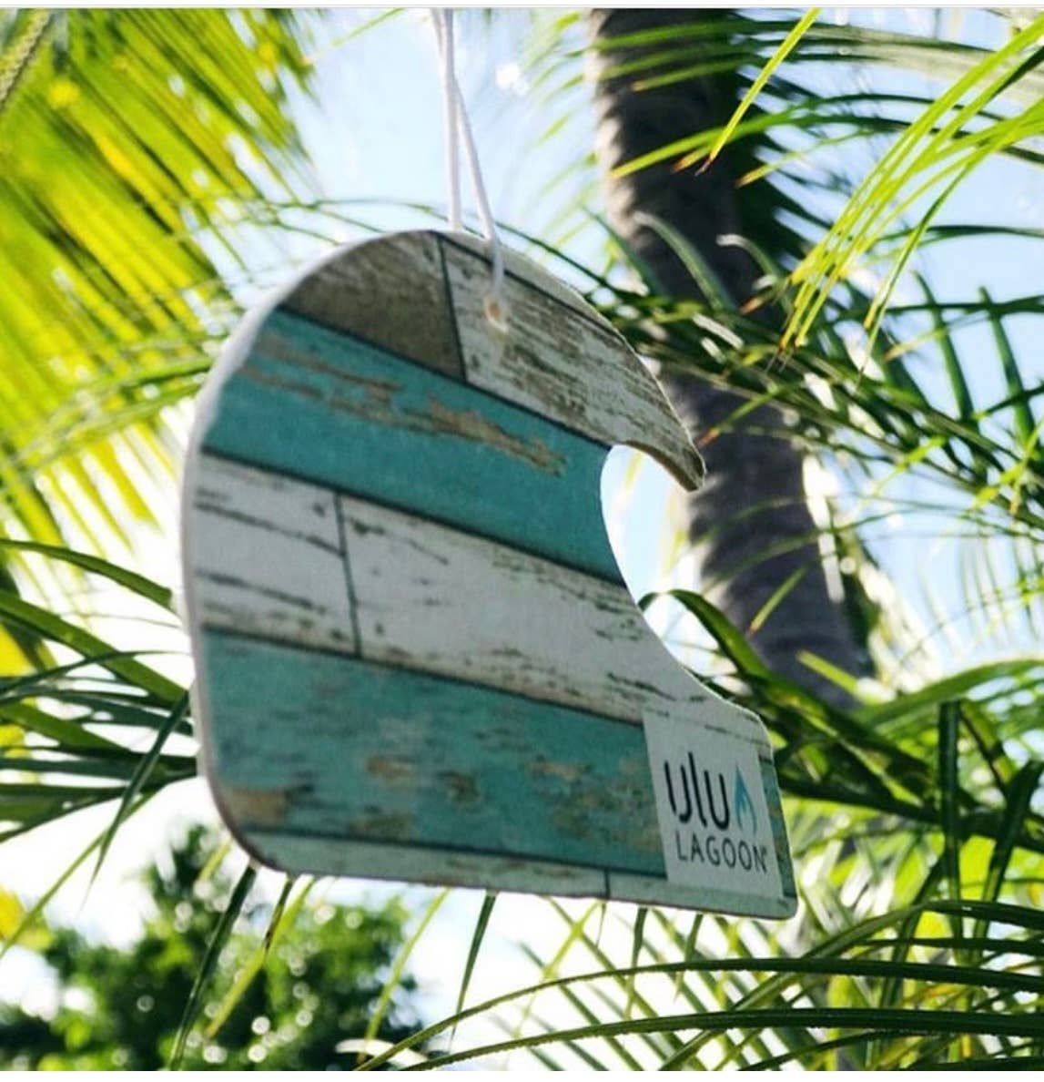 Reclaimed Mini Wave Air Freshener