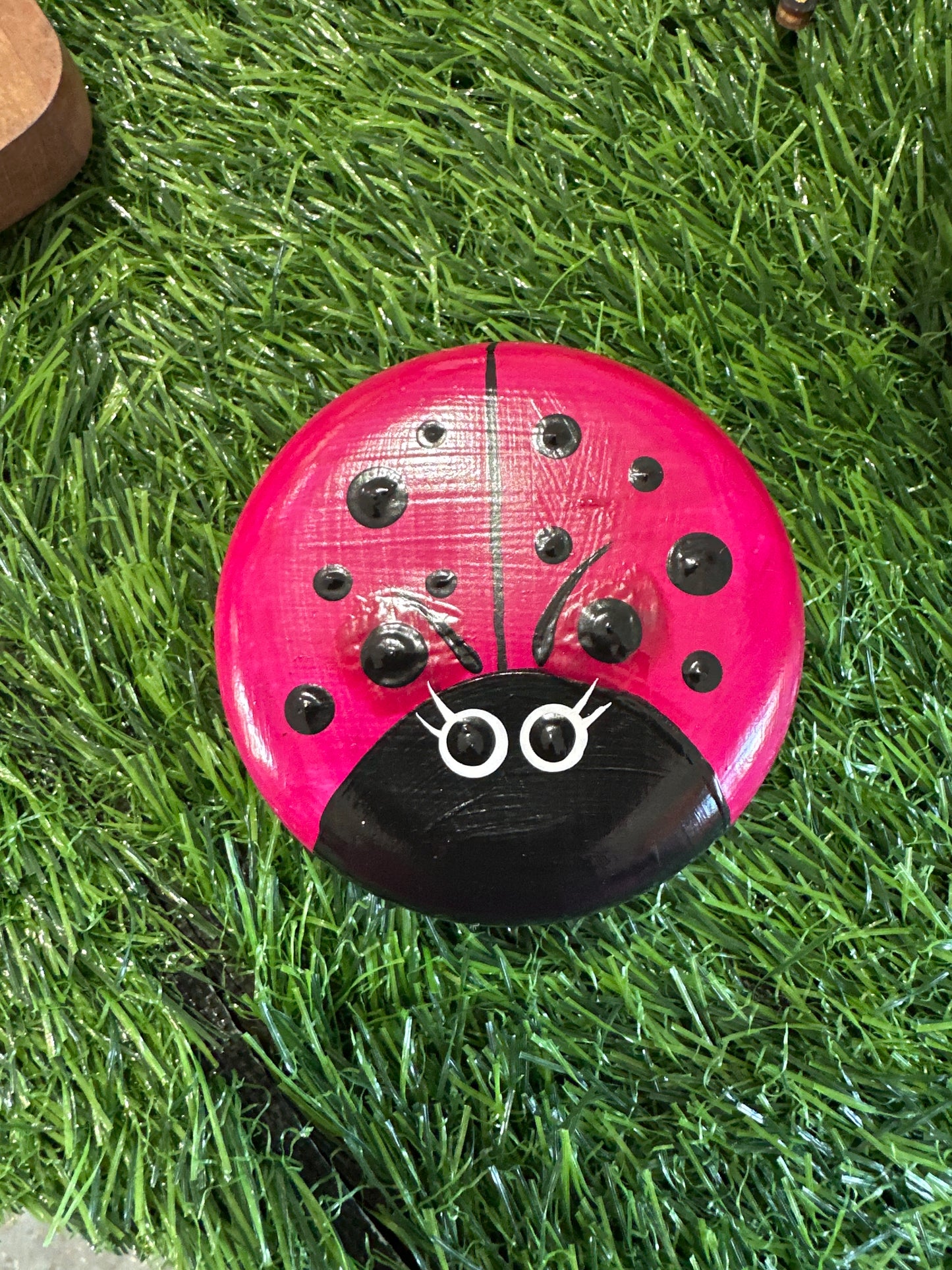 Lady Bug Stones