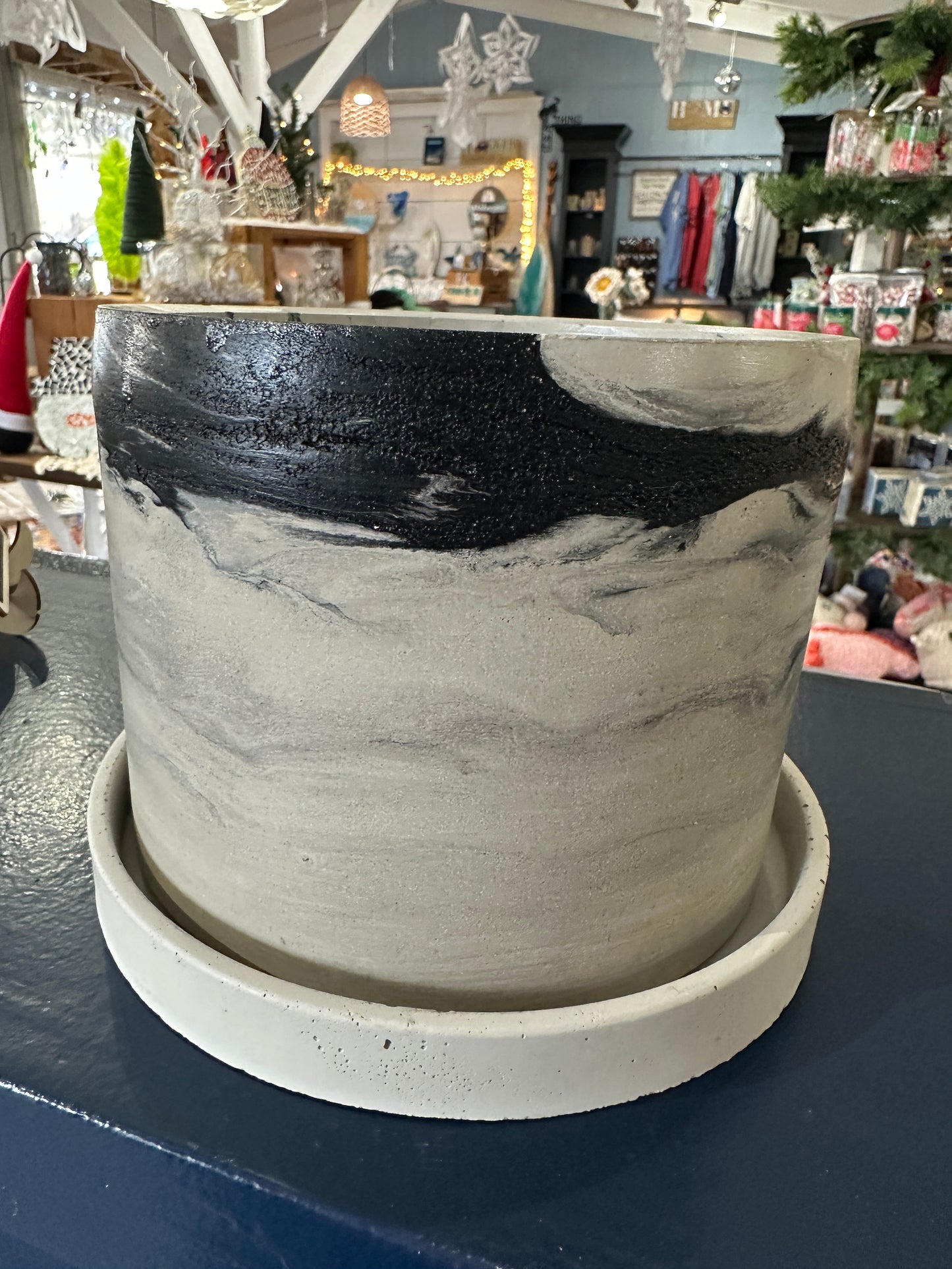 6" pot with tray