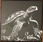 6x6 Turtle Tile (LT-01)
