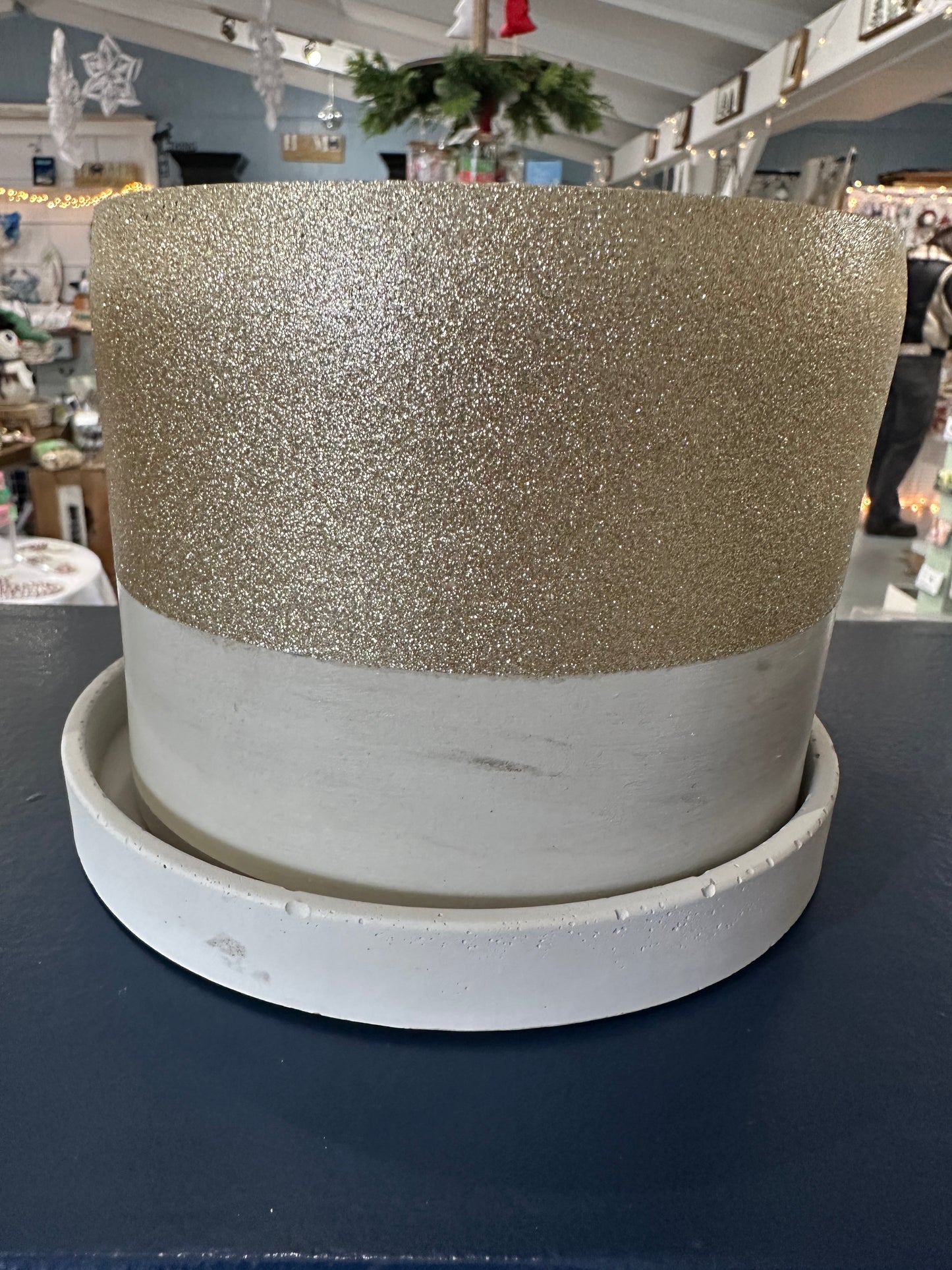 6" pot with tray