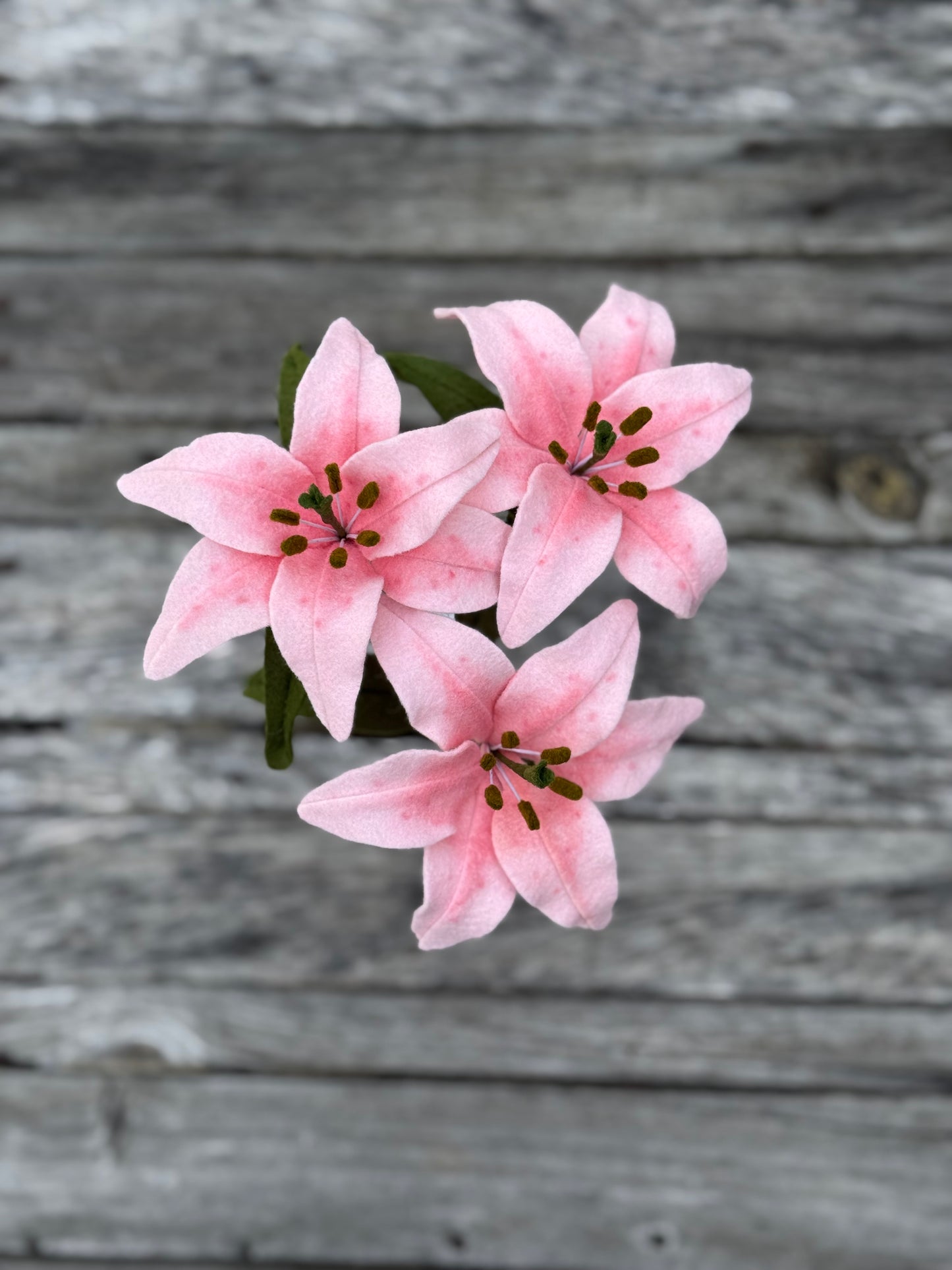 Lily Stem