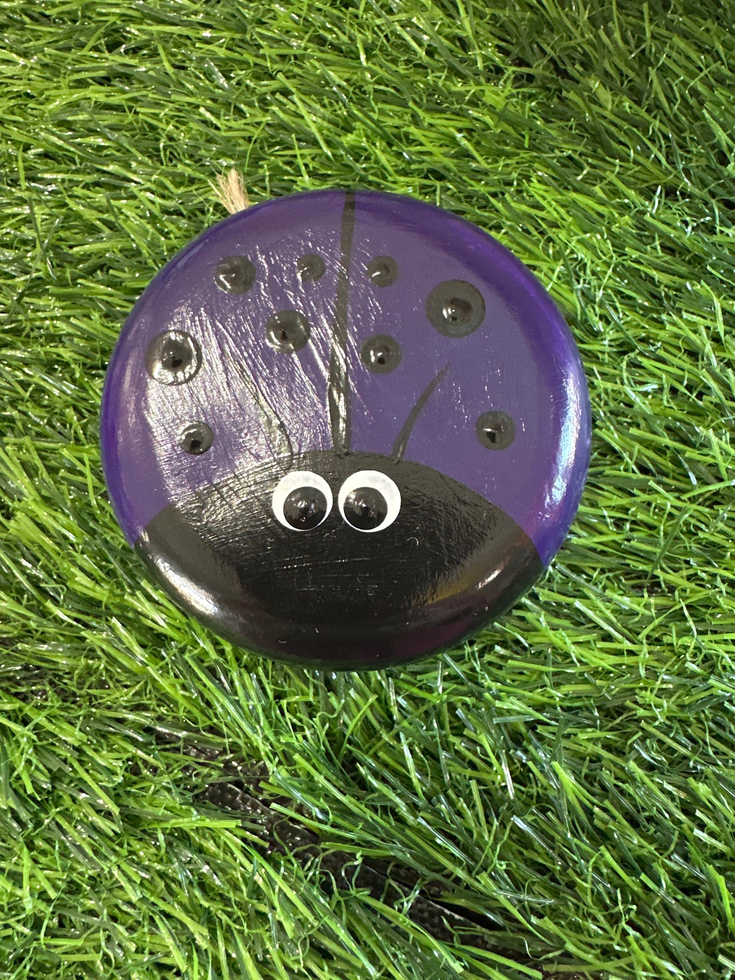 Lady Bug Stones