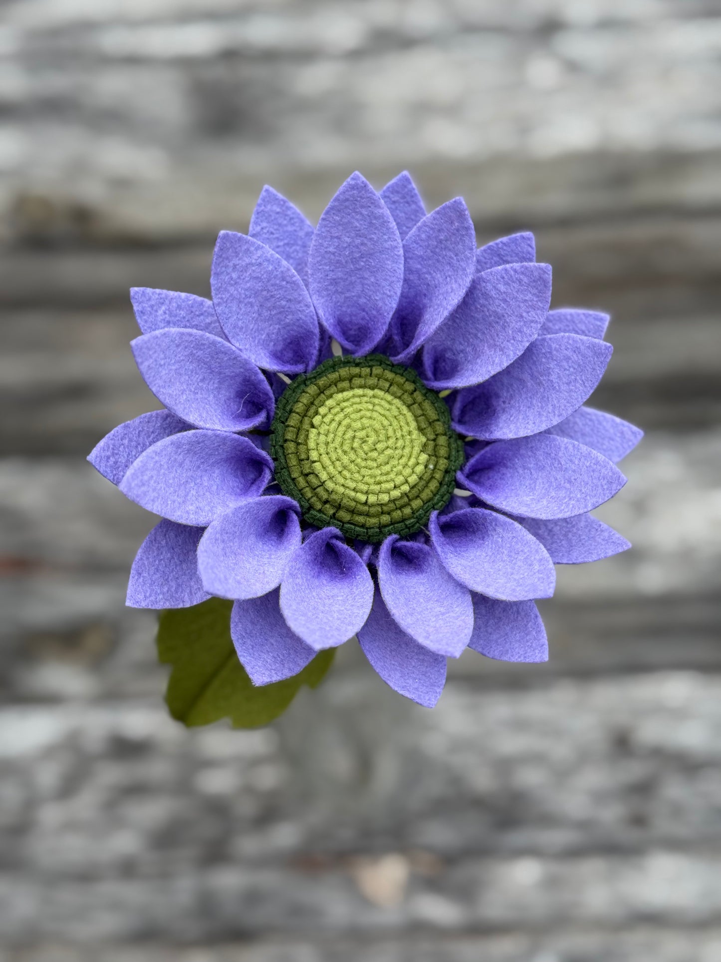 Large Sunflower Stem