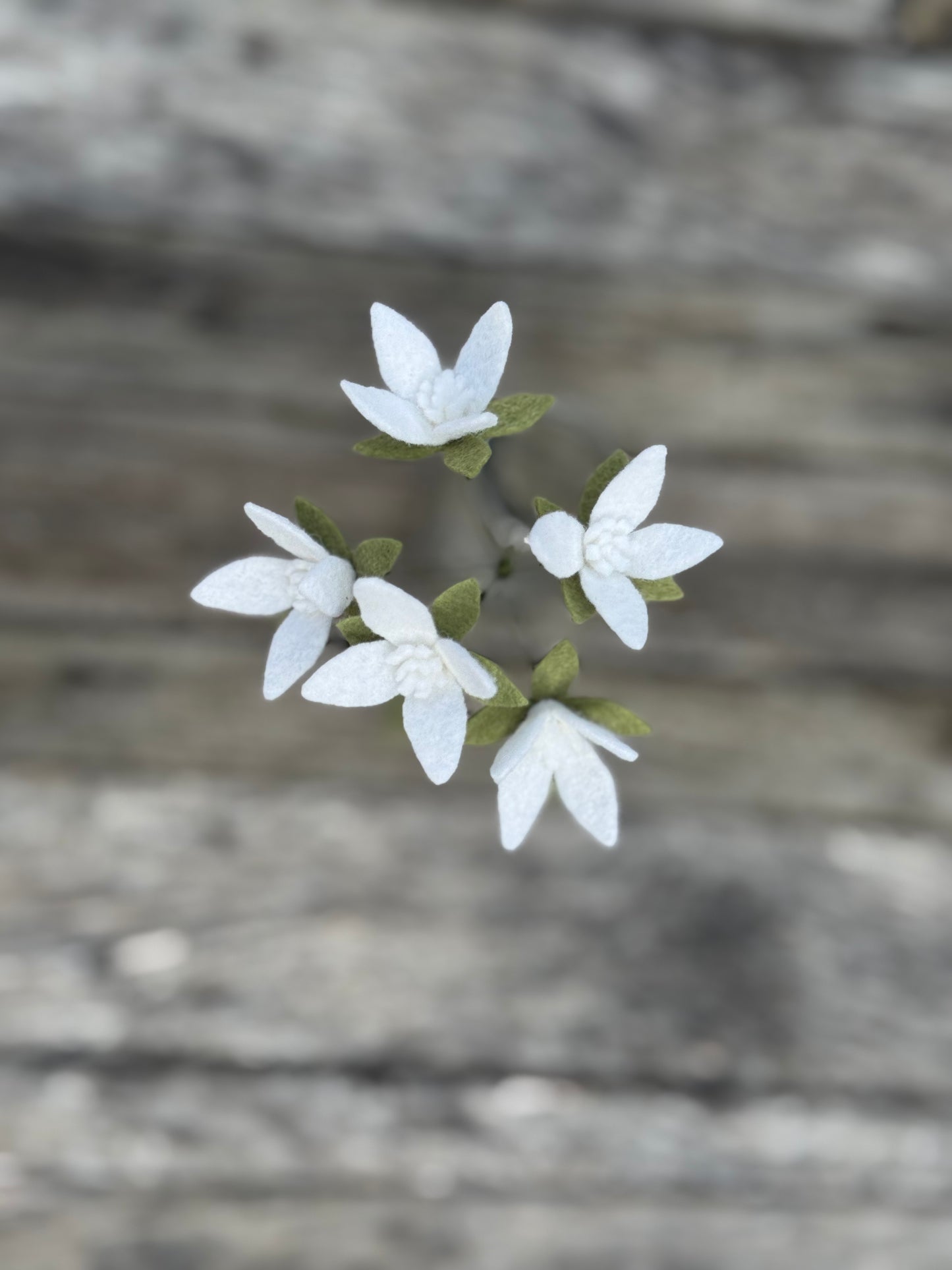 Flower Clump