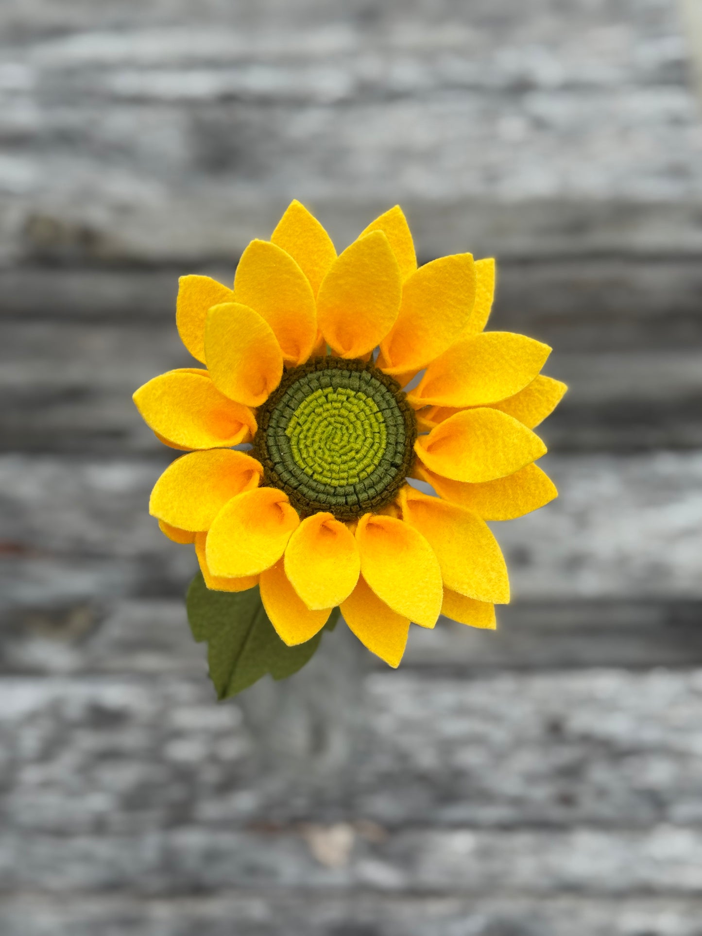 Large Sunflower Stem