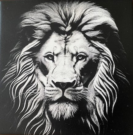 6x6 Lion Head Tile (LT-04)