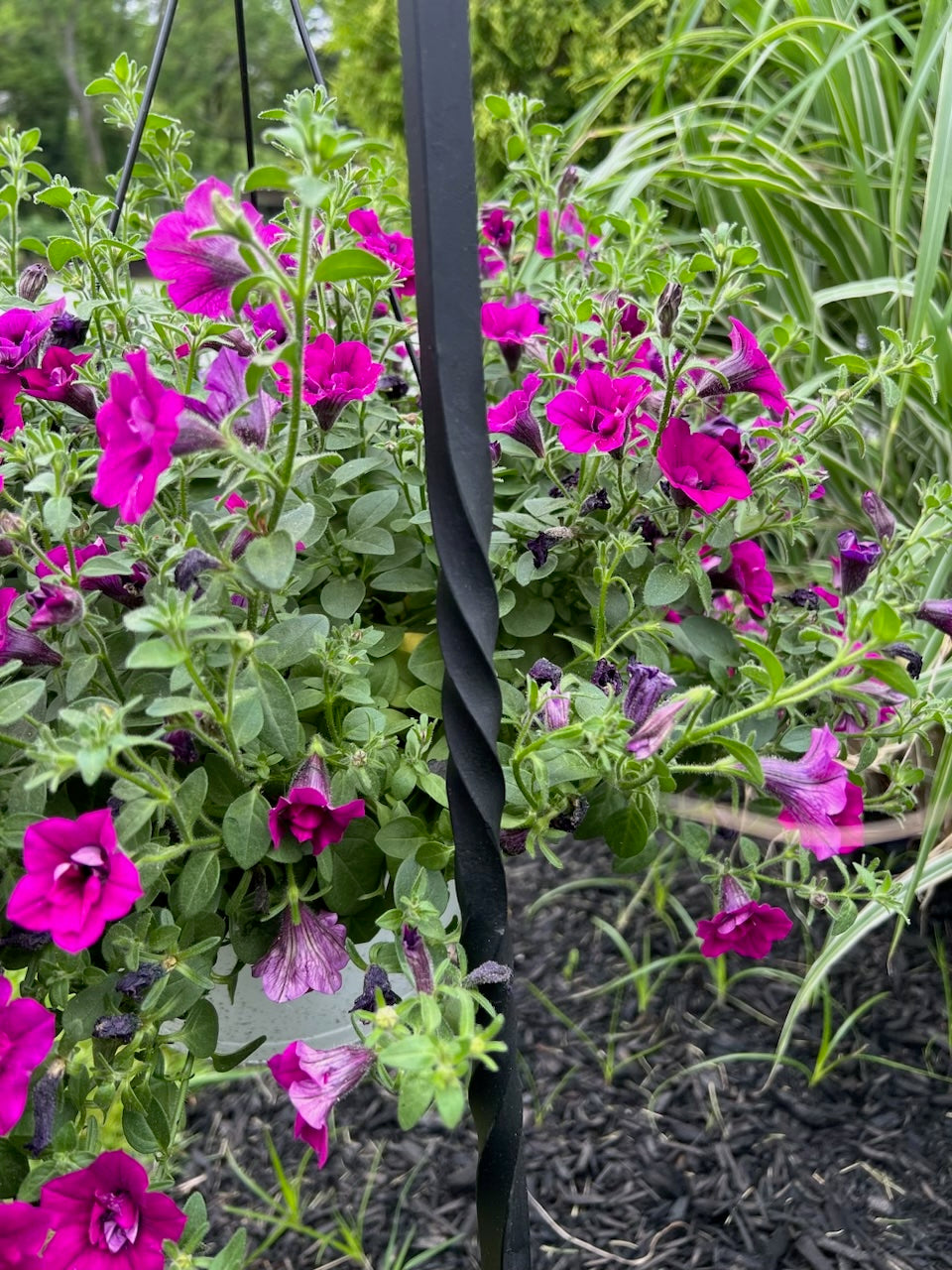 Forged Shepherd's Hook