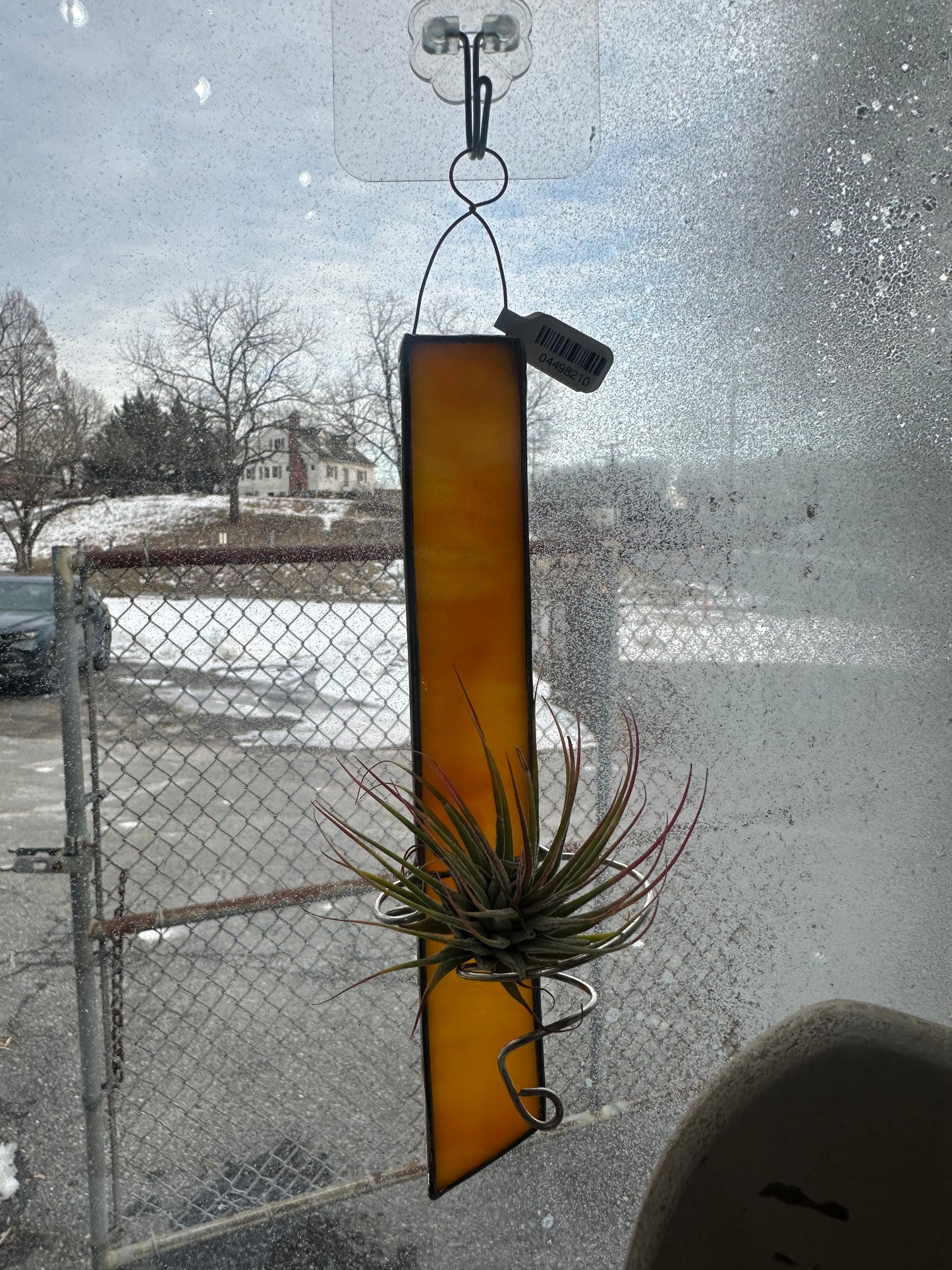 Rectangle air plant holder with live air plant