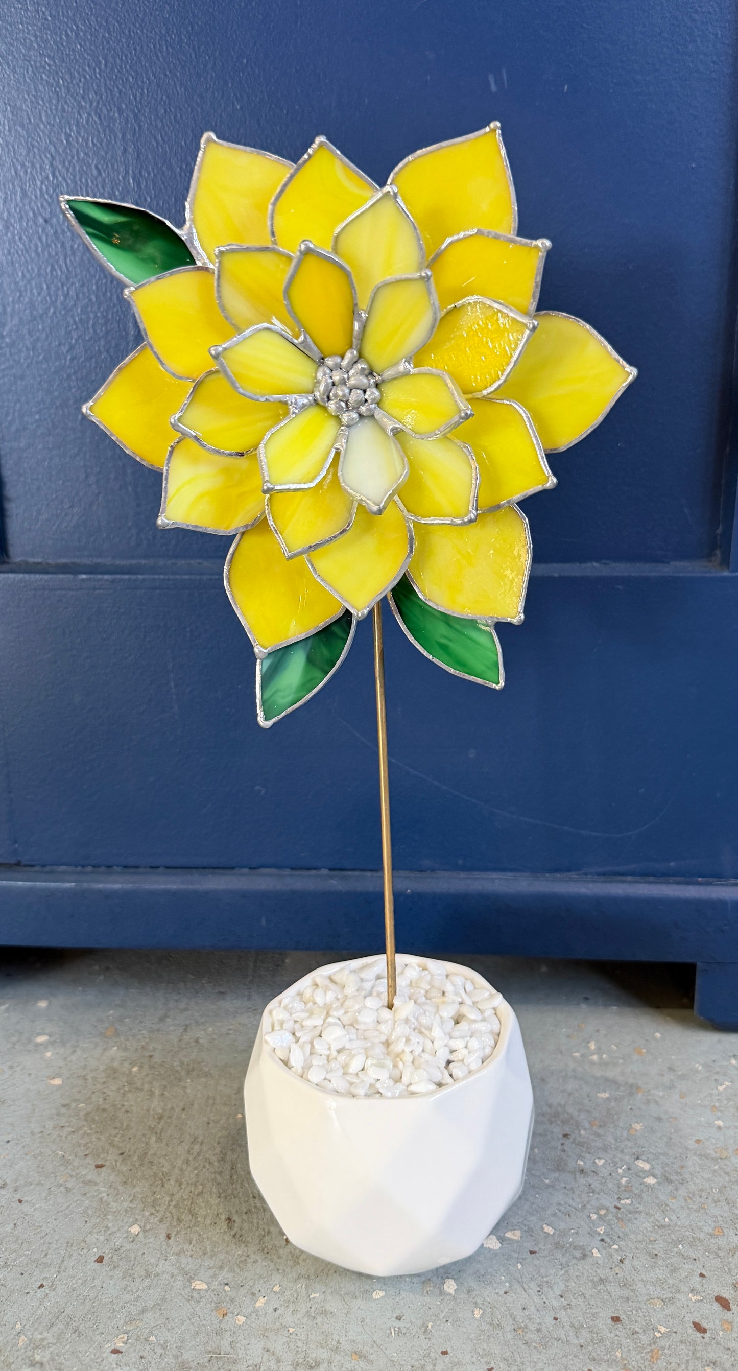 Large yellow flower in pot