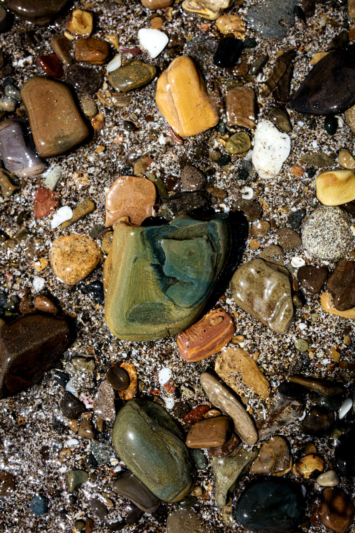 Beachscape Matted Prints