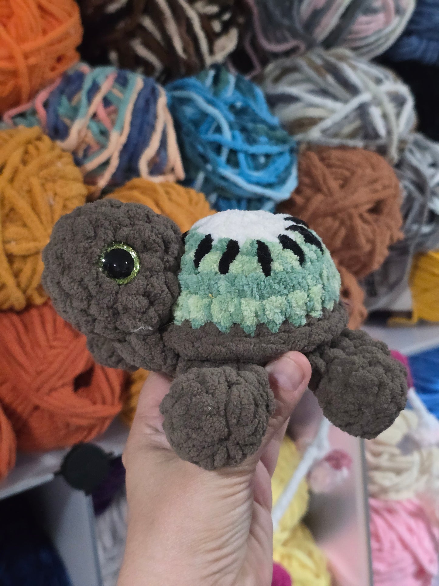 Turtles