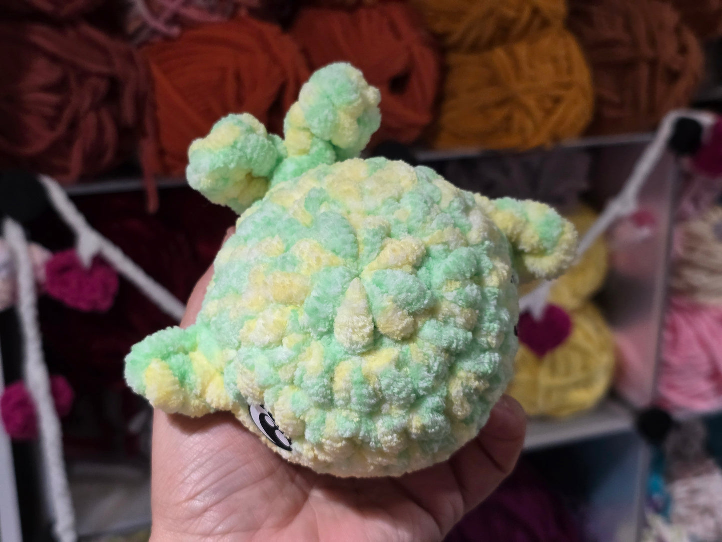 Small whale