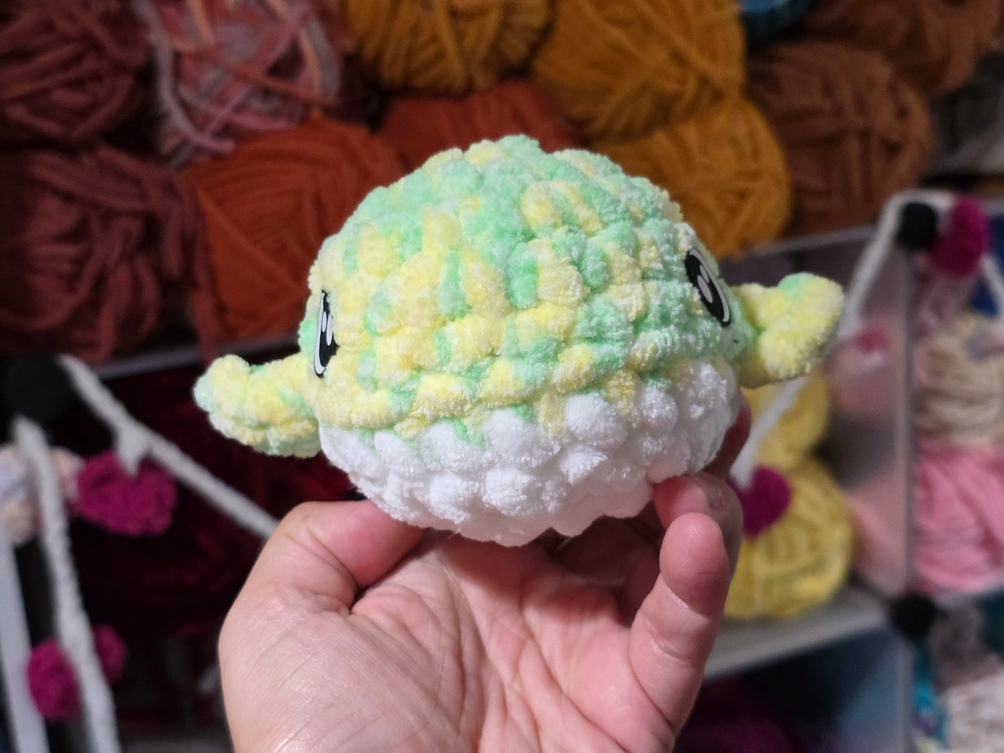 Small whale