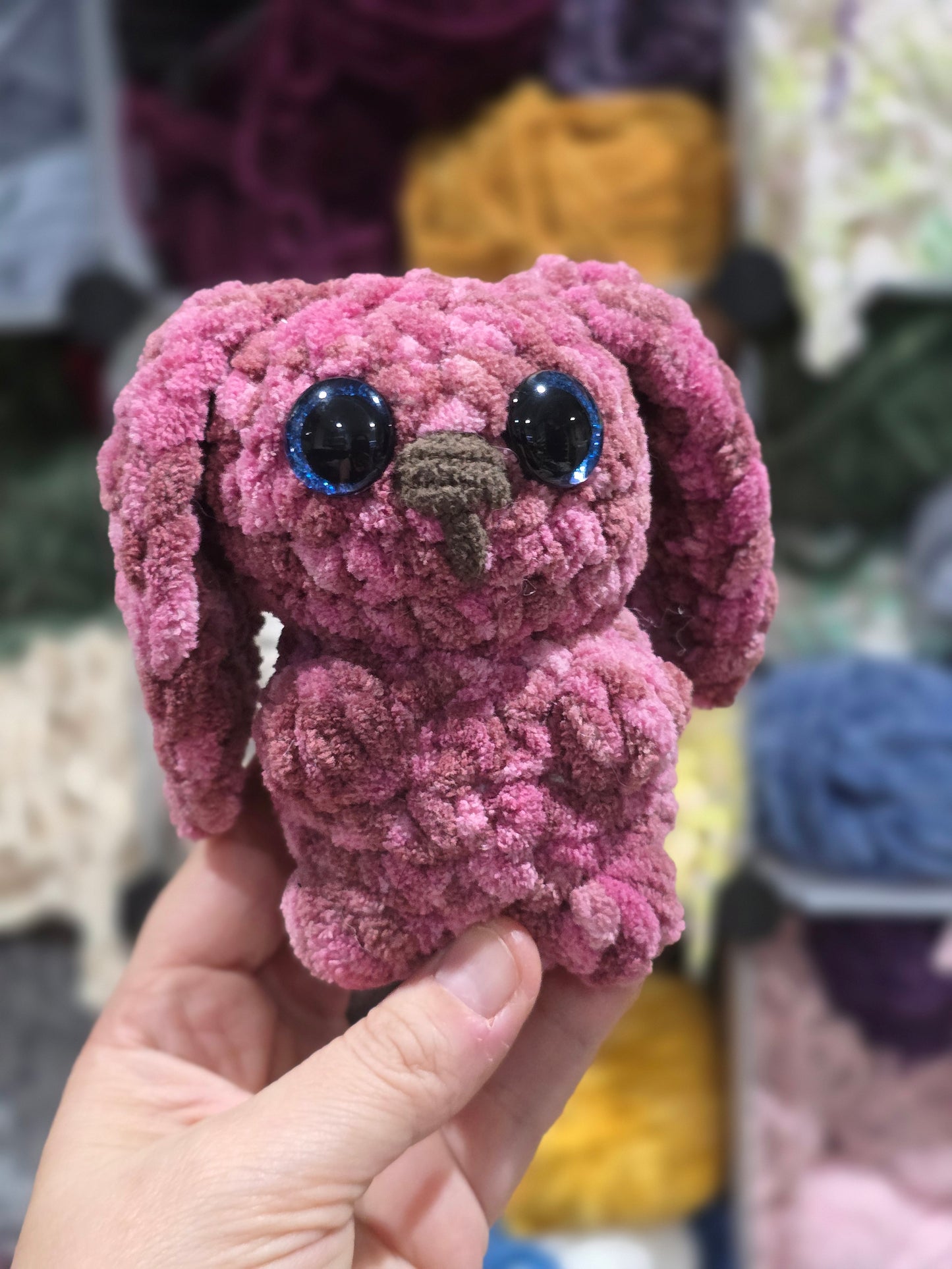 Small Bunny, Pocket Bunny