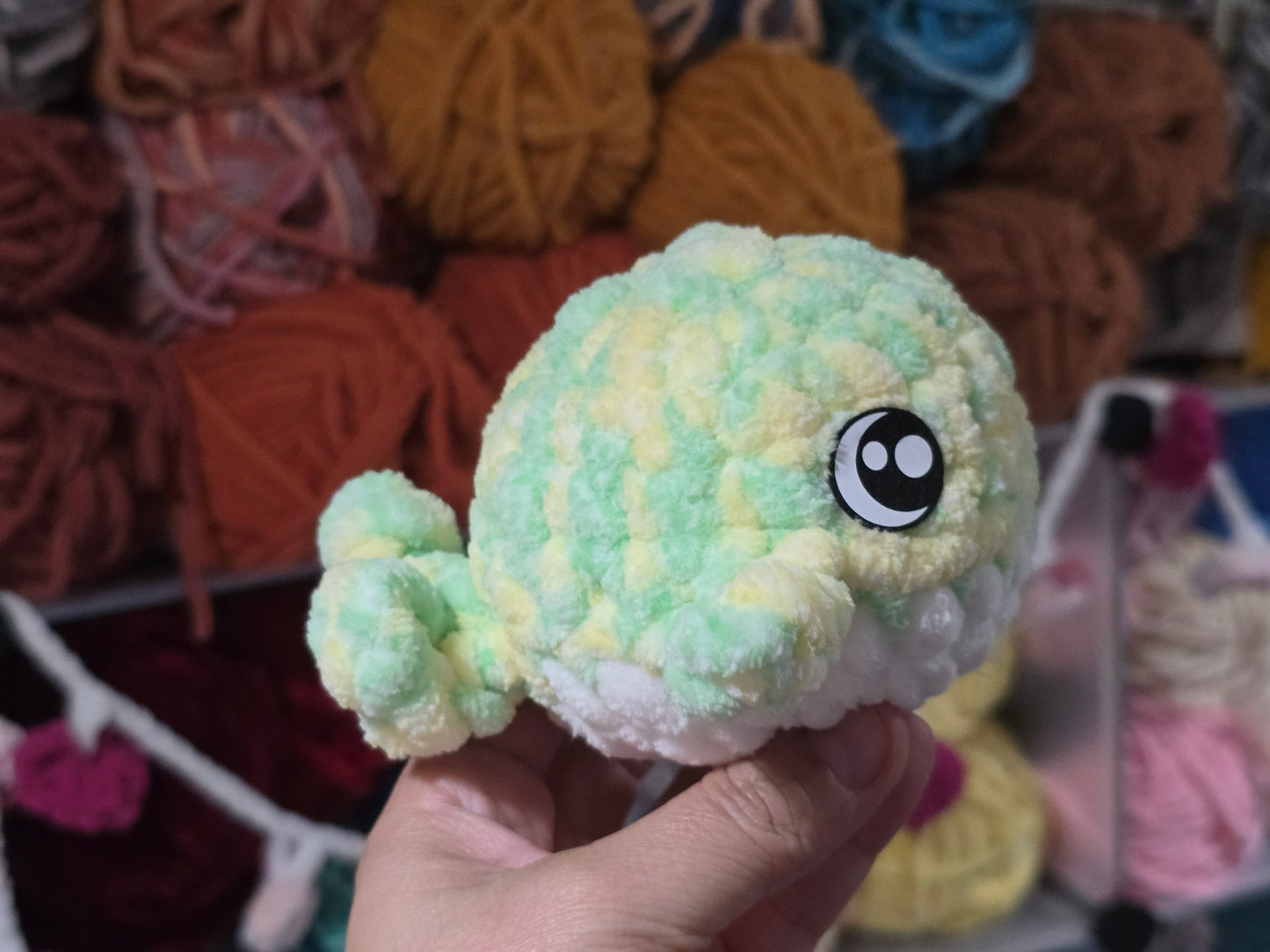 Small whale