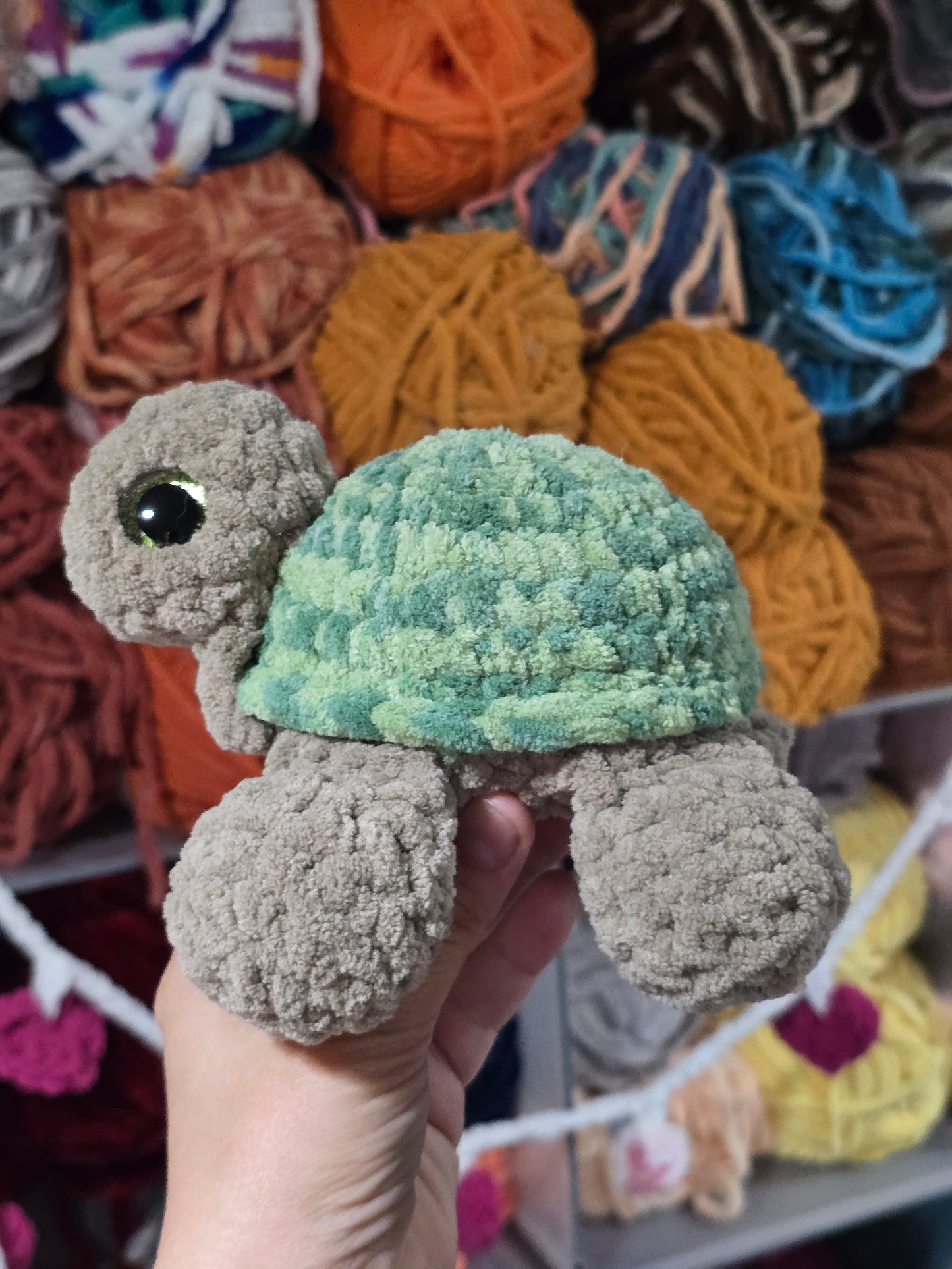 Large Turtle