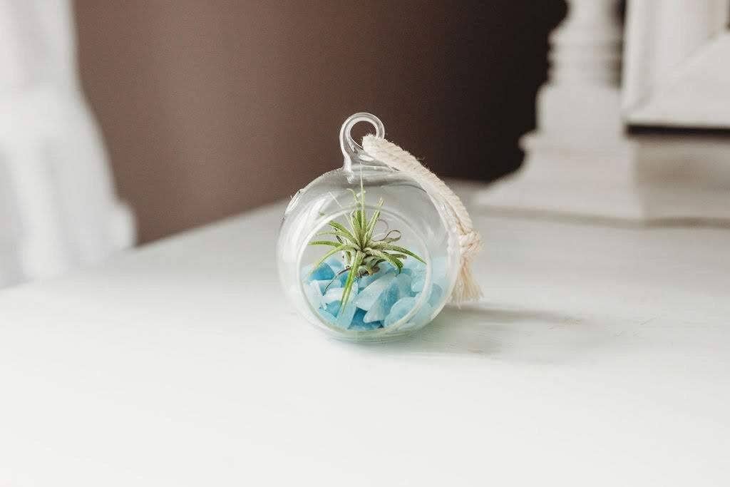 Mini Orb Air Plant Terrarium Kit - Semi-Precious Stone