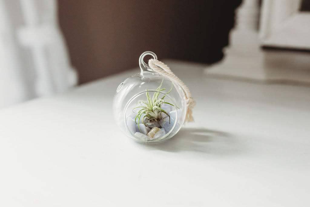 Mini Orb Air Plant Terrarium Kit - Semi-Precious Stone