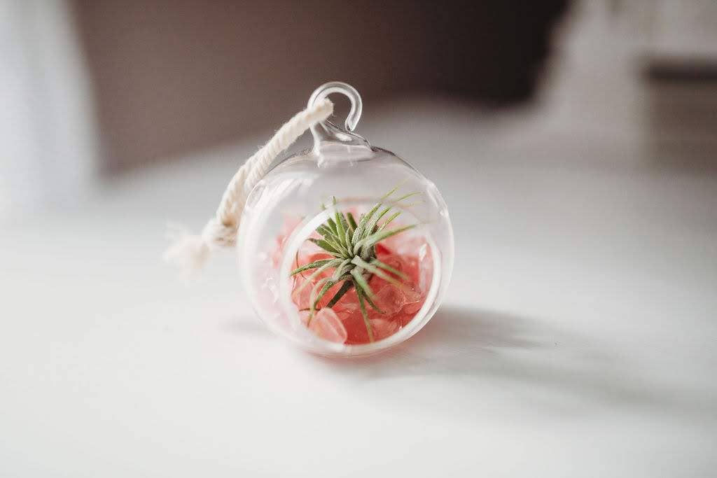 Mini Orb Air Plant Terrarium Kit - Semi-Precious Stone