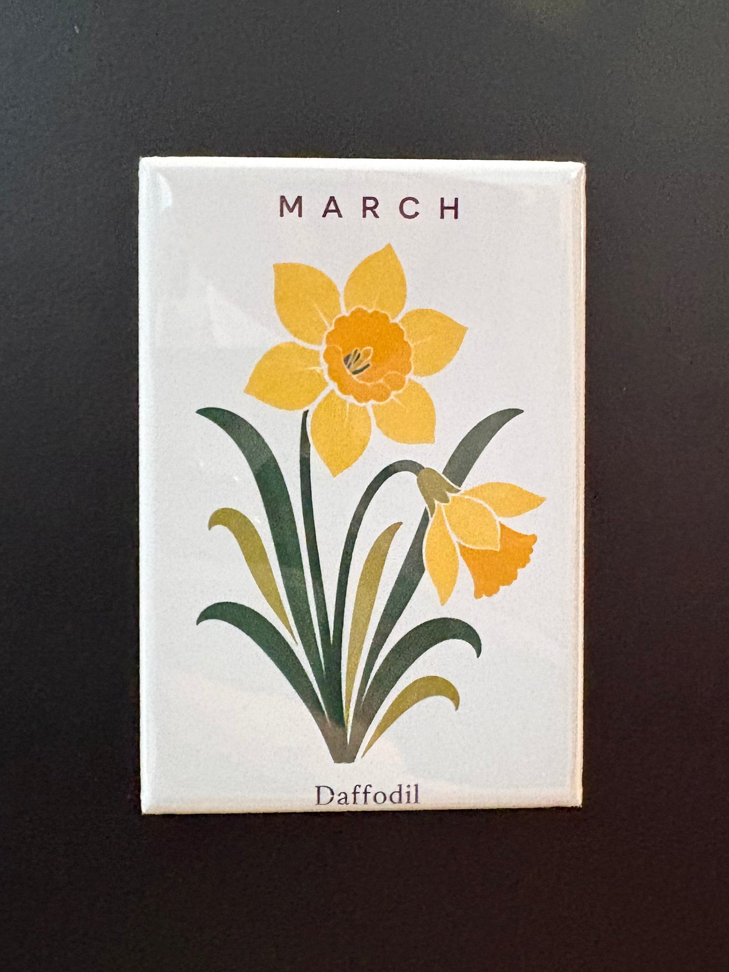 March - 2”x3” Magnet