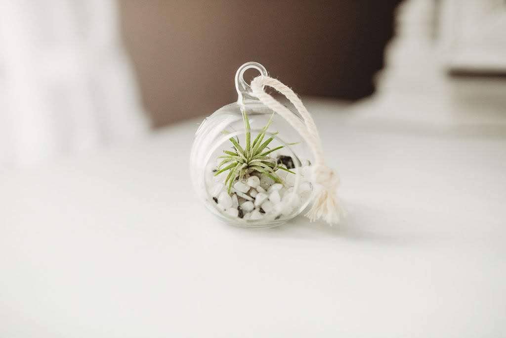 Mini Orb Air Plant Terrarium Kit - Semi-Precious Stone