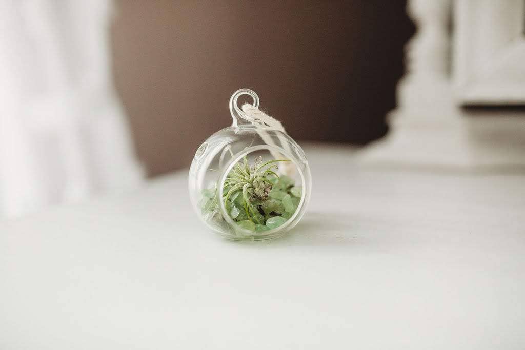 Mini Orb Air Plant Terrarium Kit - Semi-Precious Stone