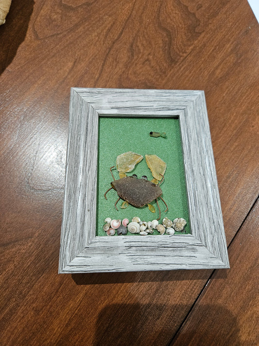 Sea Glass Crab with Fish and Shells