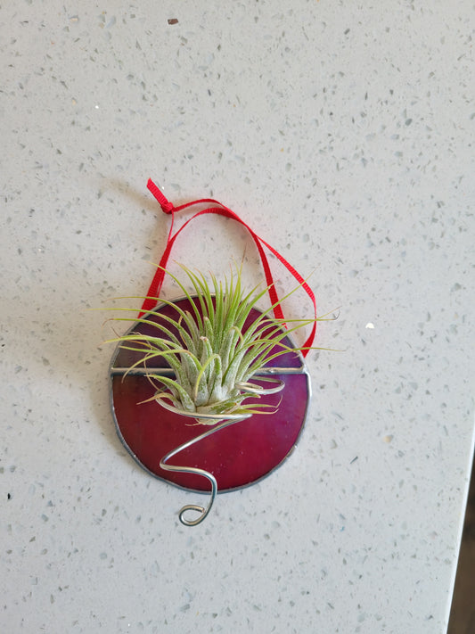 round red airplant holder