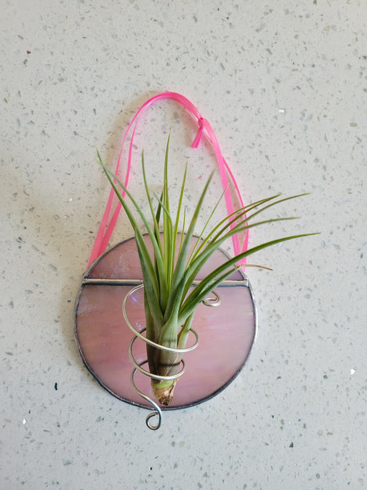 iridescent pink airplant holder