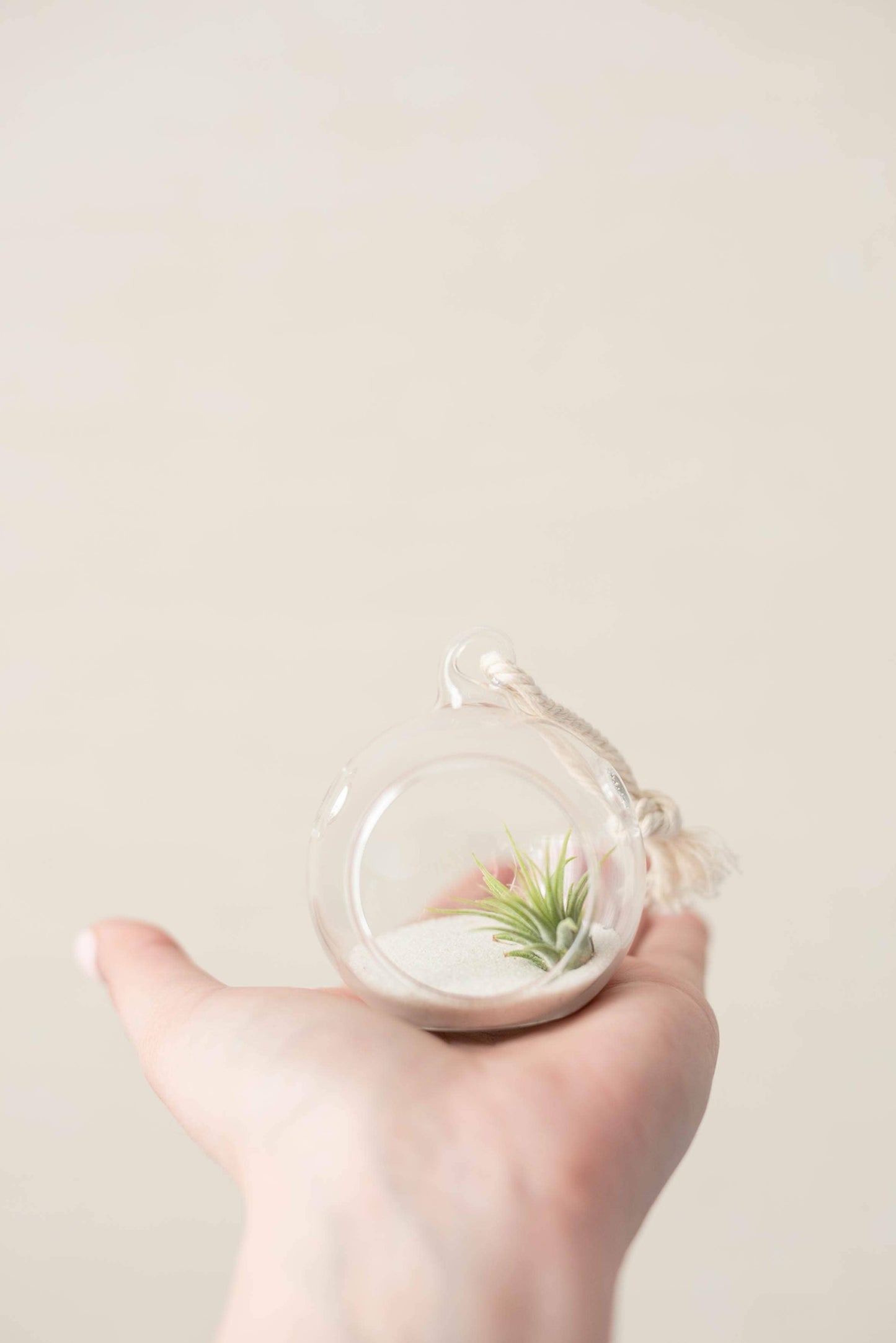 Mini Orb Air Plant Terrarium Kit - Semi-Precious Stone