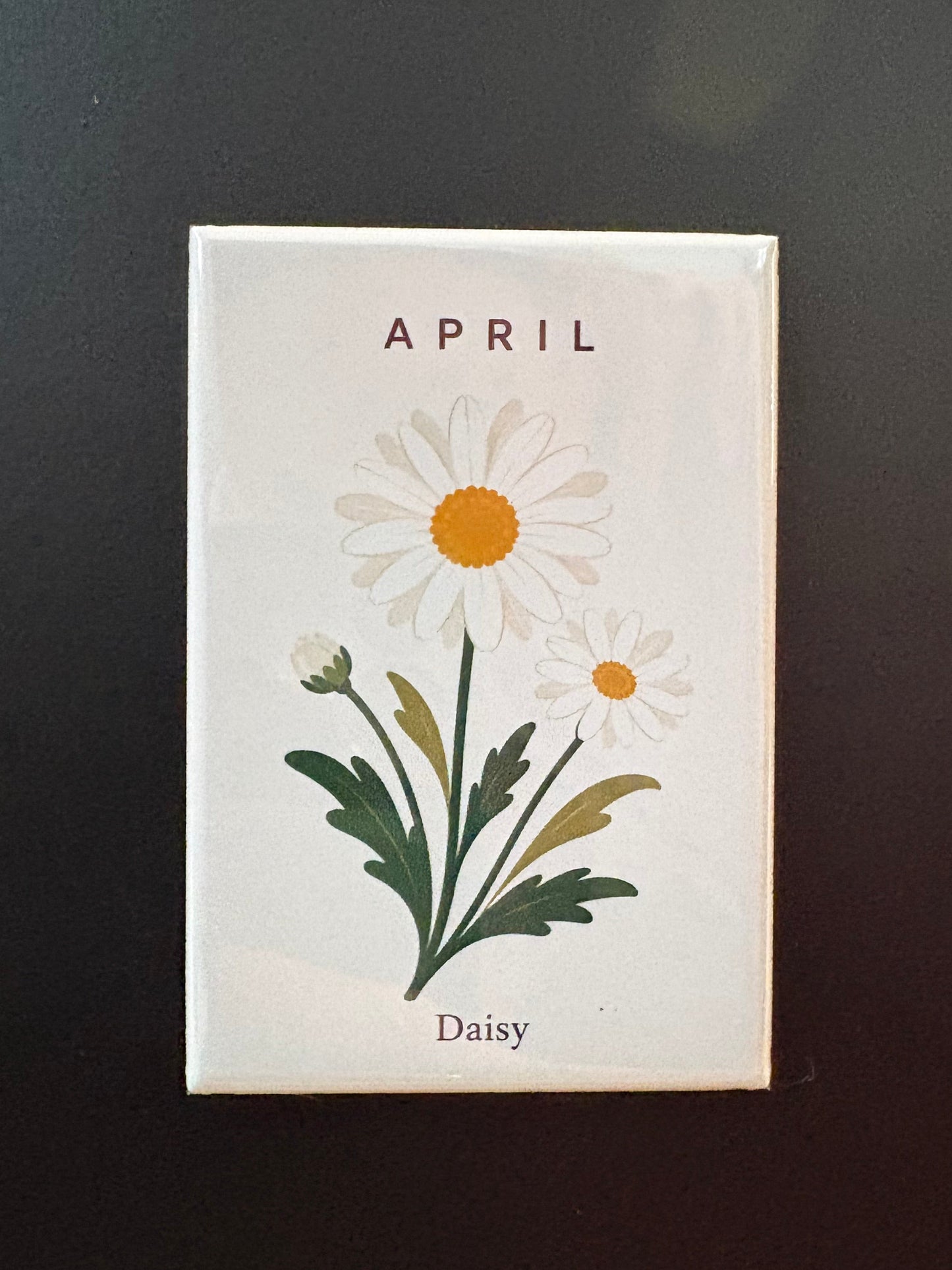 April - 2”x3” Magnet