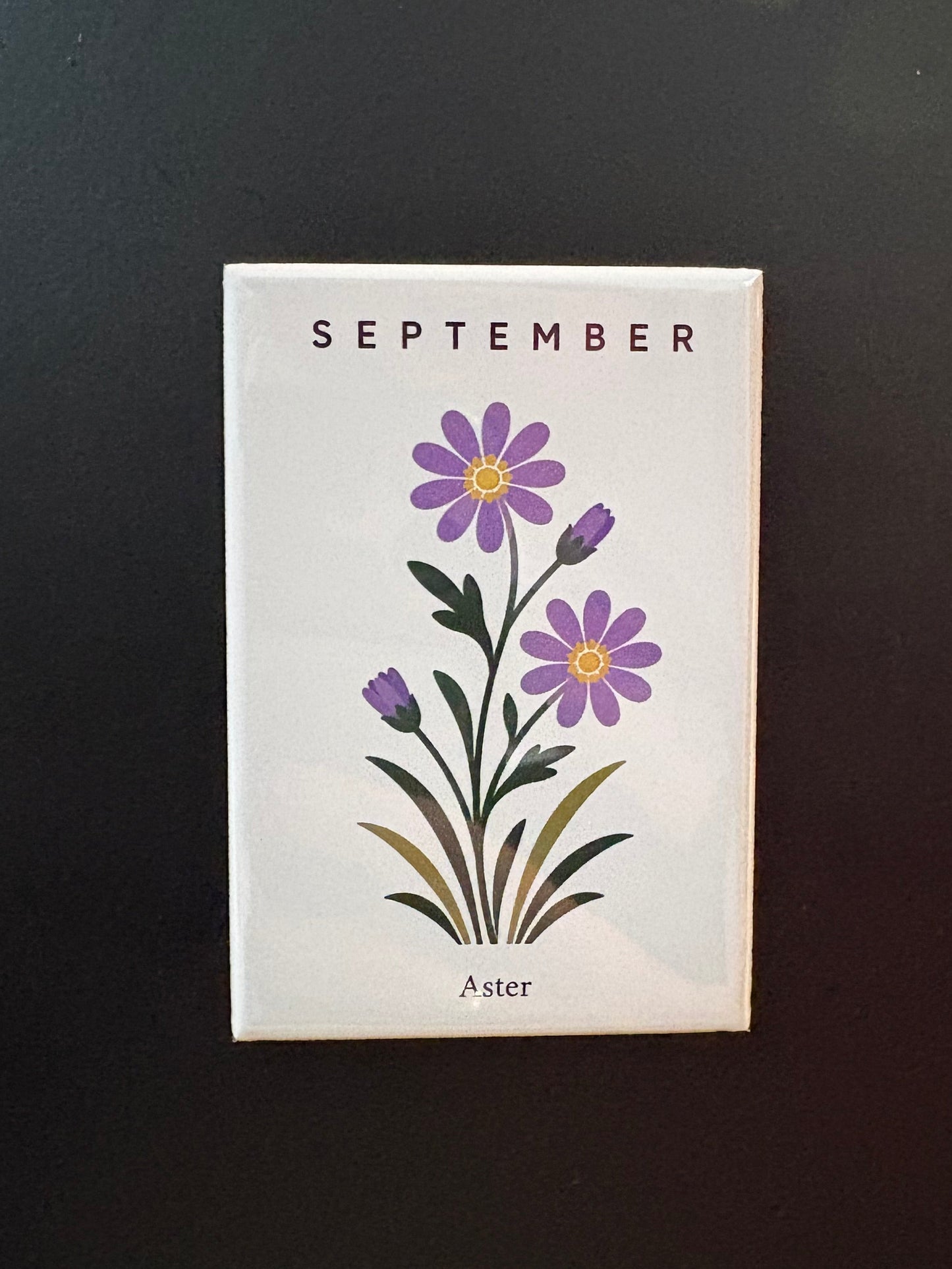 September - 2”x3” Magnet