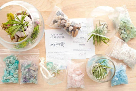 Mini Orb Air Plant Terrarium Kit - Semi-Precious Stone