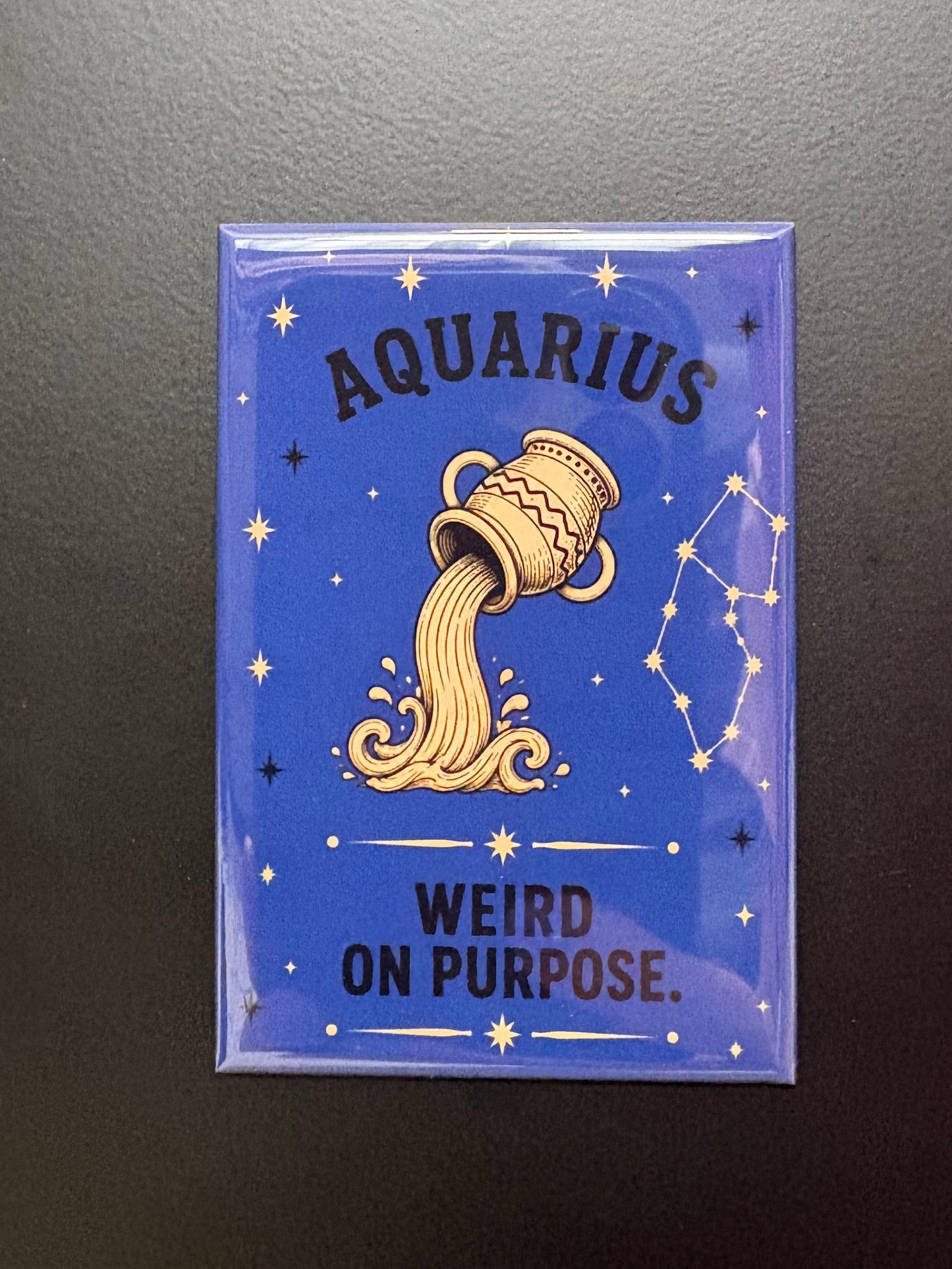 Aquarius - 2”x3” Magnet