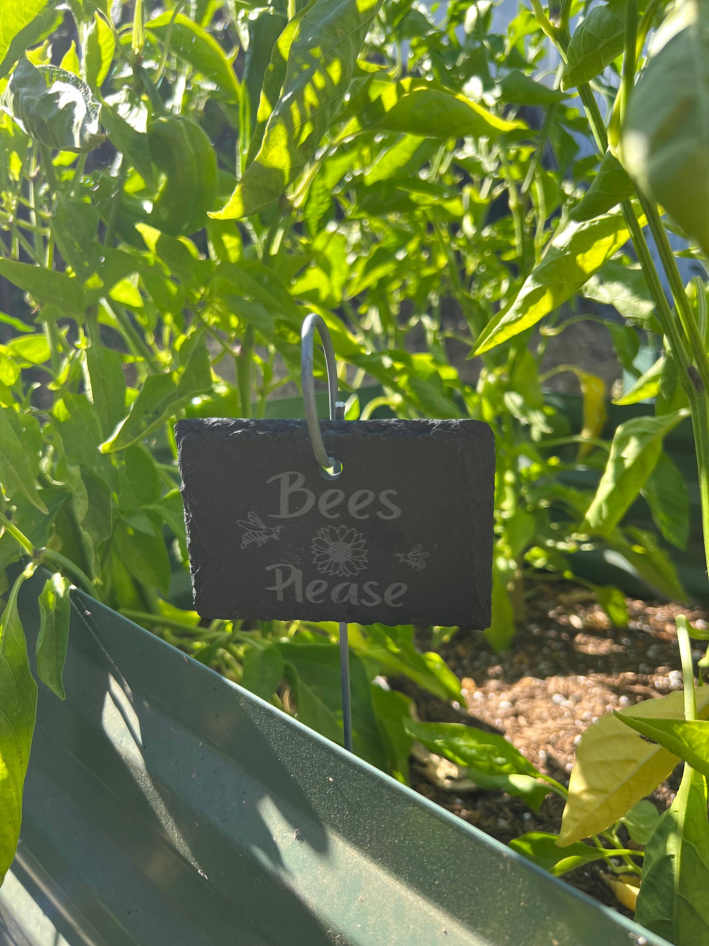 Bees Please Slate Plant Marker