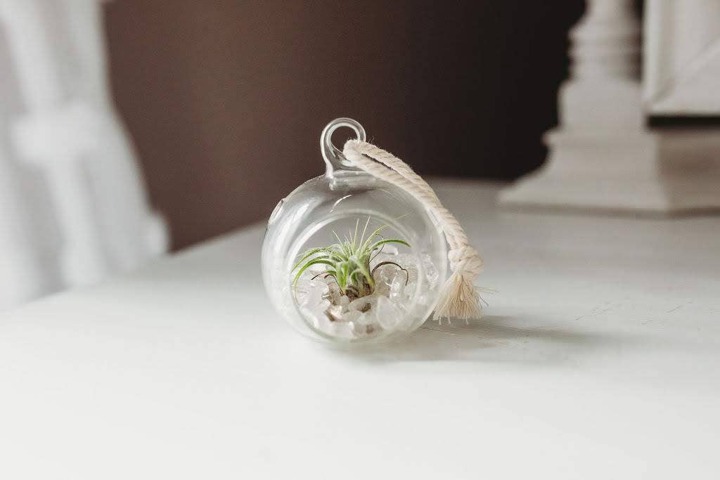 Mini Orb Air Plant Terrarium Kit - Semi-Precious Stone