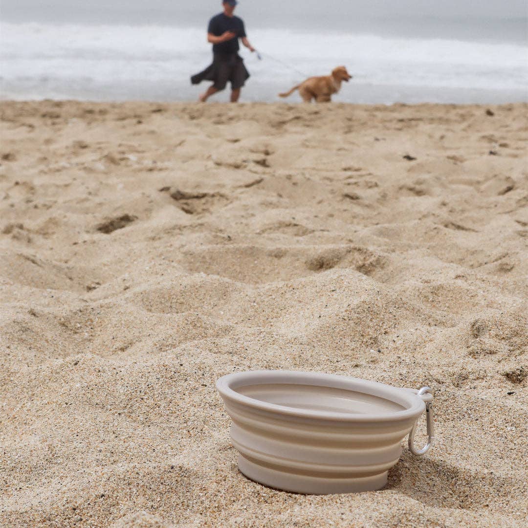 Collapsible Water Bowl