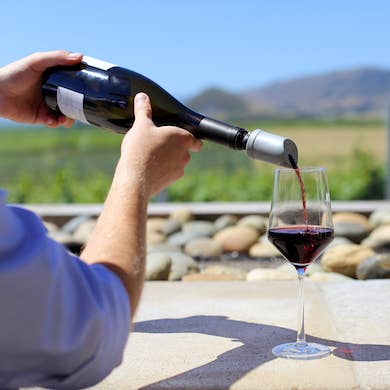 The Wave® Wine Purifier & Aerator